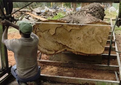 10 JJN Timbers Giant Log Milling Cluster 3 pic 2