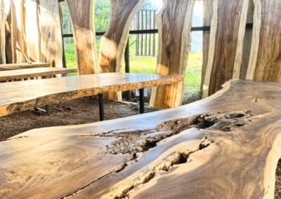 10 JJN Timbers Live Edge Top Selection Cluster 3 pic 2